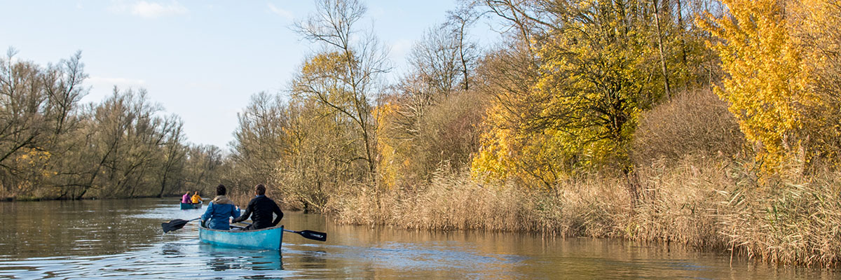 In de herfst maken we een kanotocht door Nationaal Park De Biesbosch en kamperen bij een boer op een eiland (Bas Wetter)