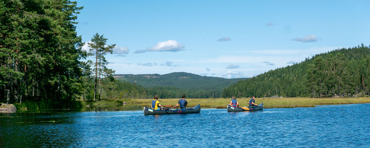 Met een groep kanoën in Värmland (Bas Wetter)