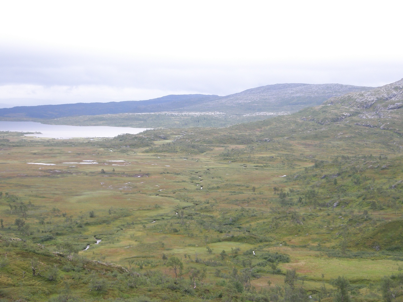 Tussen de Noorse bergen liggen grote meren, maar ook uitgestrekte stukken moeras (Bas Wetter)
