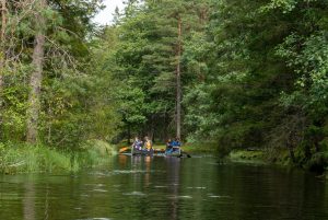 Van de Svartälven rivier kanoën we over een klein stroompje richting het laatste deel van onze kanotocht (Bas Wetter)