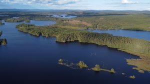 Värmland bestaat voornamelijk uit bossen, meren en op de grens daarvan stukken moeras (Cas)