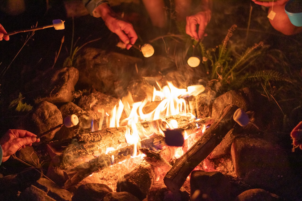 32 Eerste keer marshmallows rond het kampvuur en niet zichtbaar een stapeltje hout voor de hagedis om te schuilen (Bas Wetter)