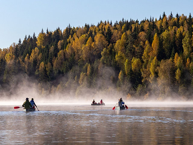 Herfst en basic bushcraft in Glaskogen